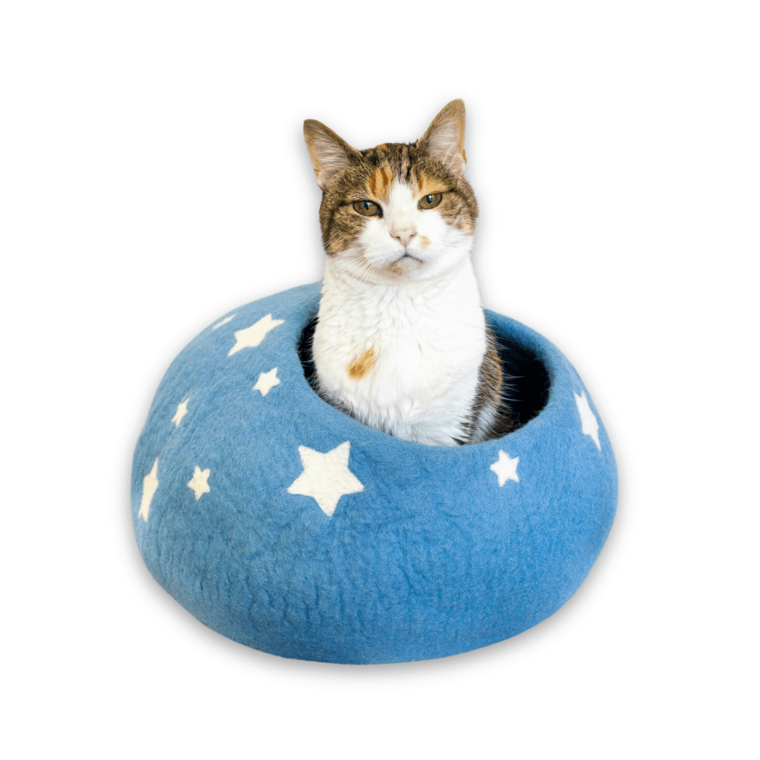 Friendsheep Pets Sky Blue Midnight Stars Eco Kitty Cave