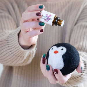 Friendsheep Eco Dryer Balls Cool Friends