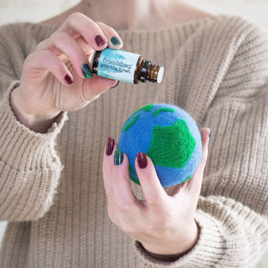 Friendsheep Eco Dryer Balls Earth Trio