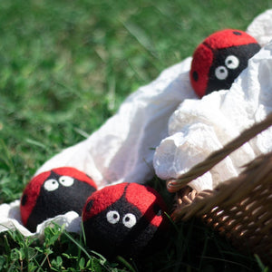 Friendsheep Eco Dryer Balls Laundrybugs