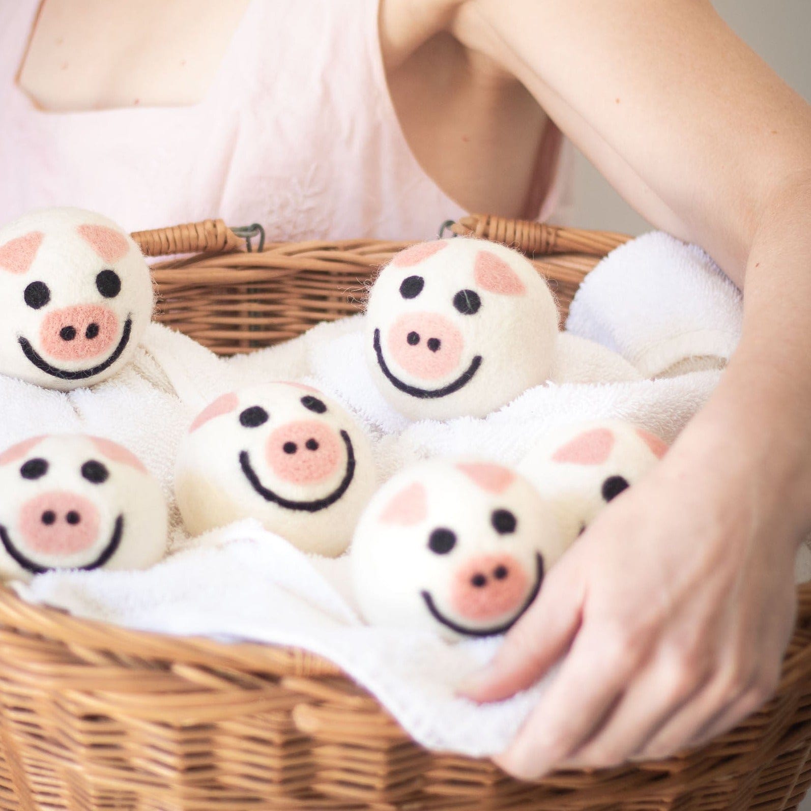 Friendsheep Eco Dryer Balls Piggy Band
