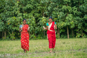 300,000 Trees Planted - and counting!