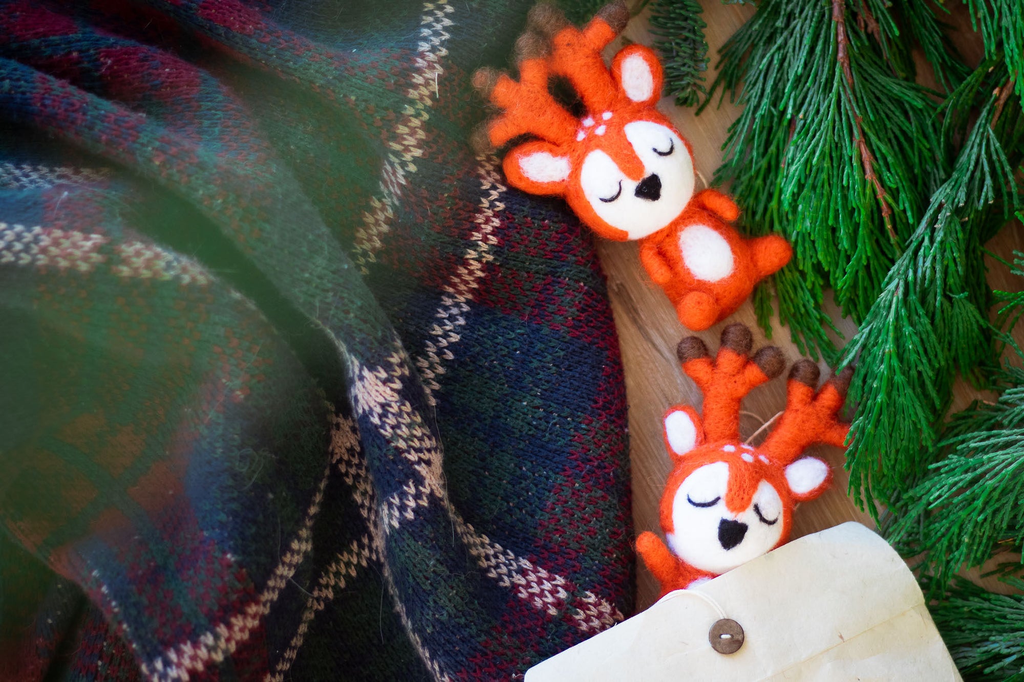 2024 A Planet-Friendly Holiday Gift Guide