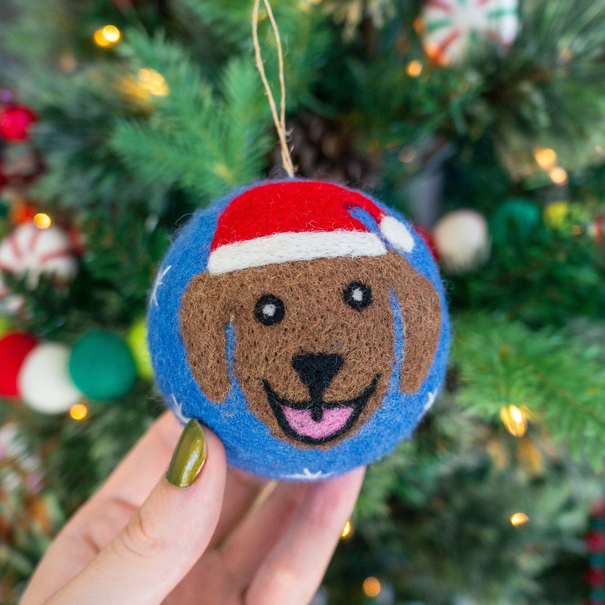 Friendsheep Blue Jolly Dog Eco Ornament - Limited Santa's Hat Edition