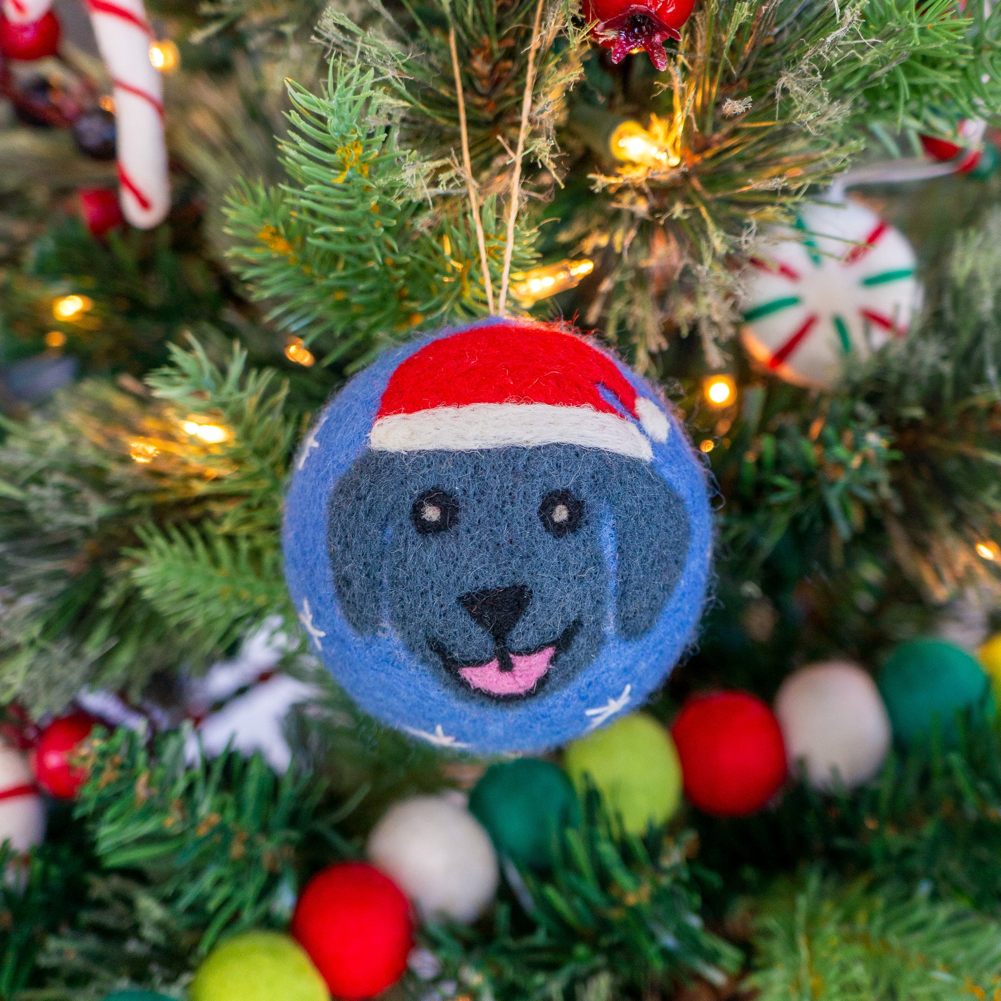 Friendsheep Blue Jolly Dog Eco Ornament - Limited Santa's Hat Edition