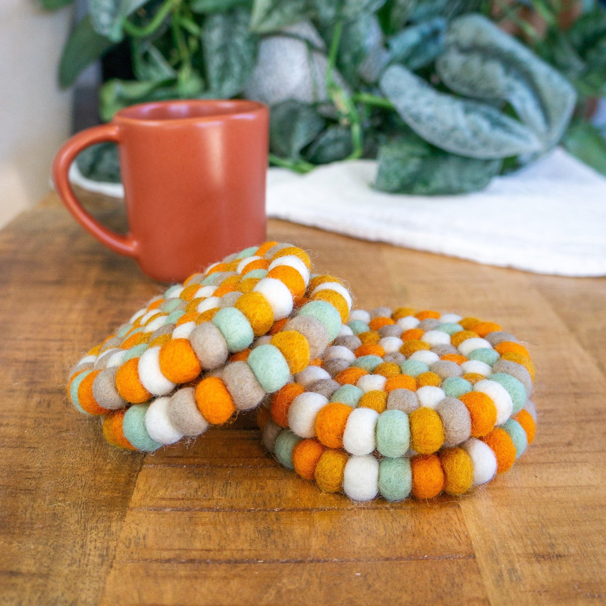 Friendsheep Coaster Pumpkin Patch Eco Coasters & Trivet