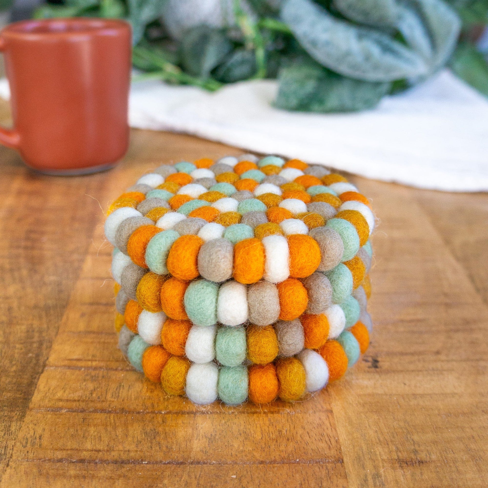 Friendsheep Coaster Pumpkin Patch Eco Coasters & Trivet