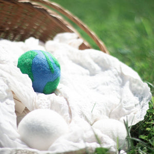 Friendsheep Eco Dryer Balls No Planet B