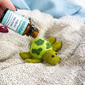 Friendsheep Pet Toys Shelly the Sea Turtle & Sisters - Set of 3