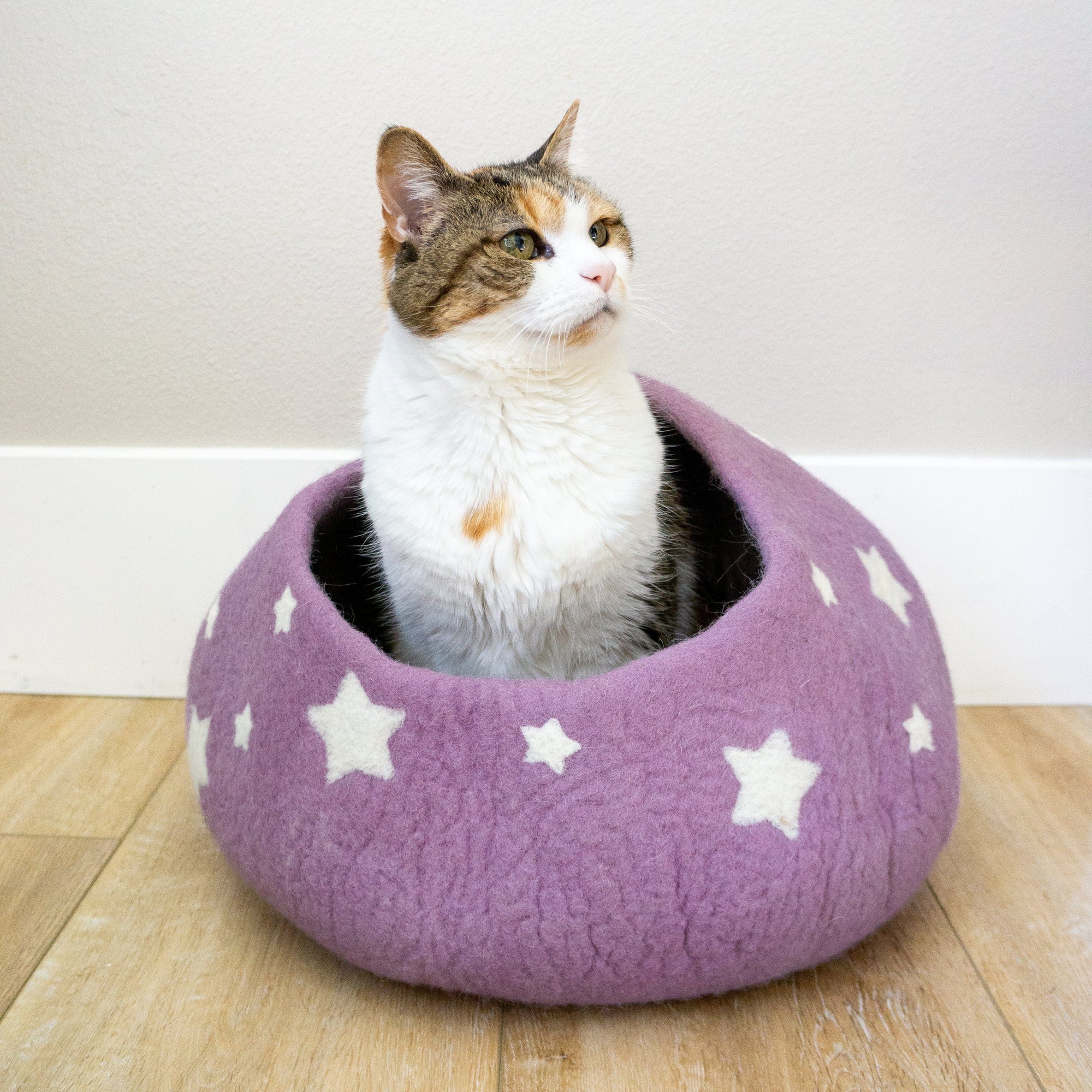Friendsheep Pets Lavender Midnight Stars Eco Kitty Cave