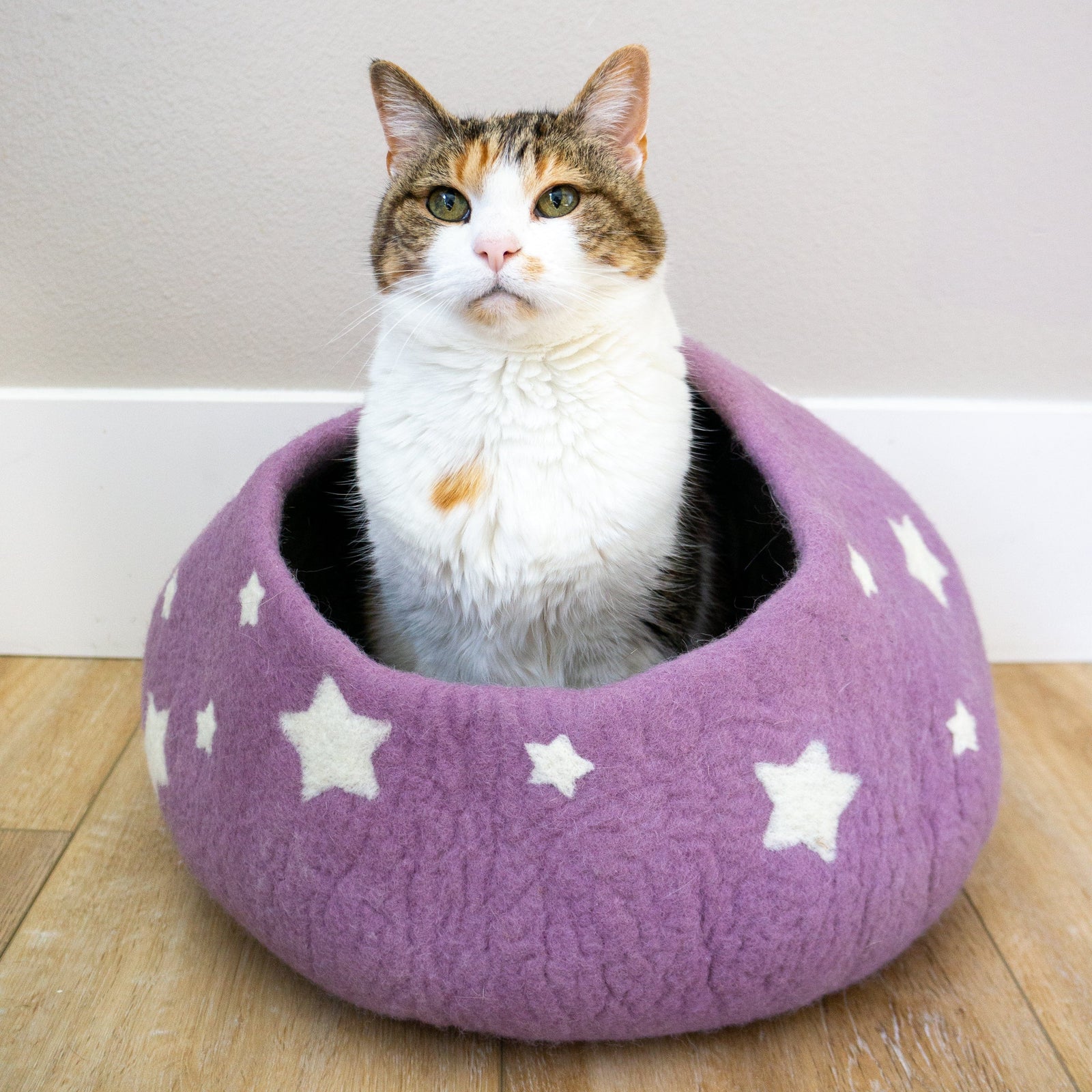 Friendsheep Pets Lavender Midnight Stars Eco Kitty Cave