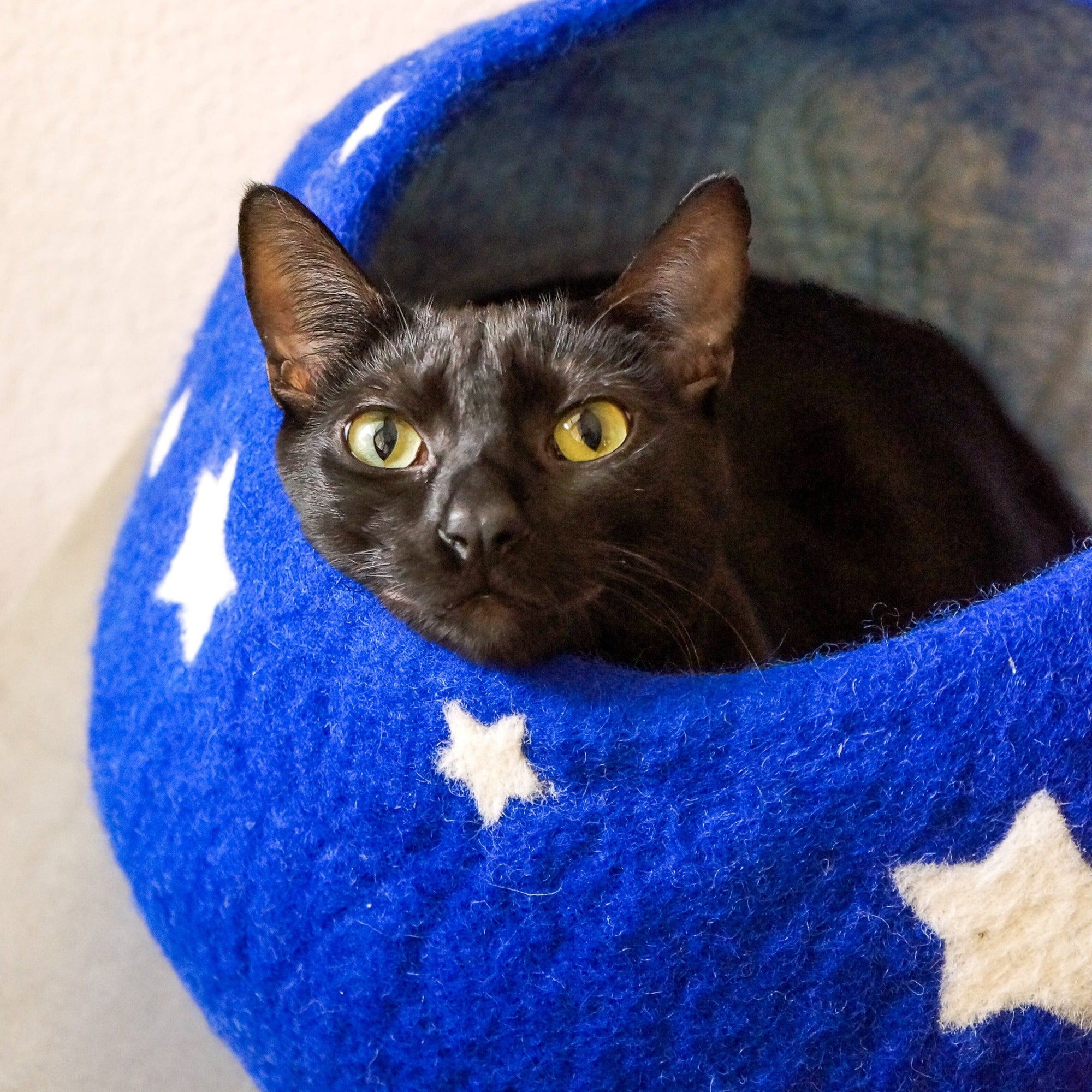 Friendsheep Pets Midnight Stars Eco Kitty Cave