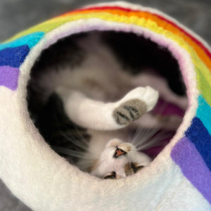 Friendsheep Pets Rainbow Eco Kitty Cave