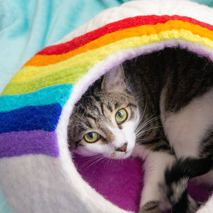 Friendsheep Pets Rainbow Eco Kitty Cave