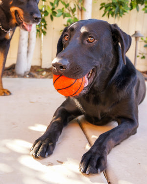 Friendsheep Sustainable Wool Goods Pet Toys Dog XL Sport Ball