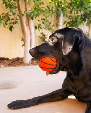 Friendsheep Sustainable Wool Goods Pet Toys Dog XL Sport Ball