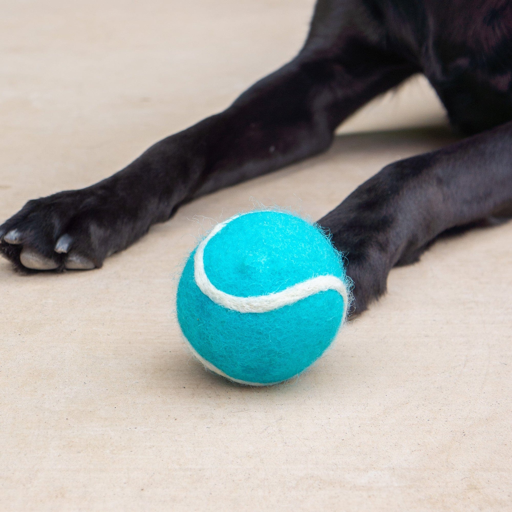 Friendsheep Sustainable Wool Goods Pet Toys Teal & Green Tennis Wool Balls Dog Toy