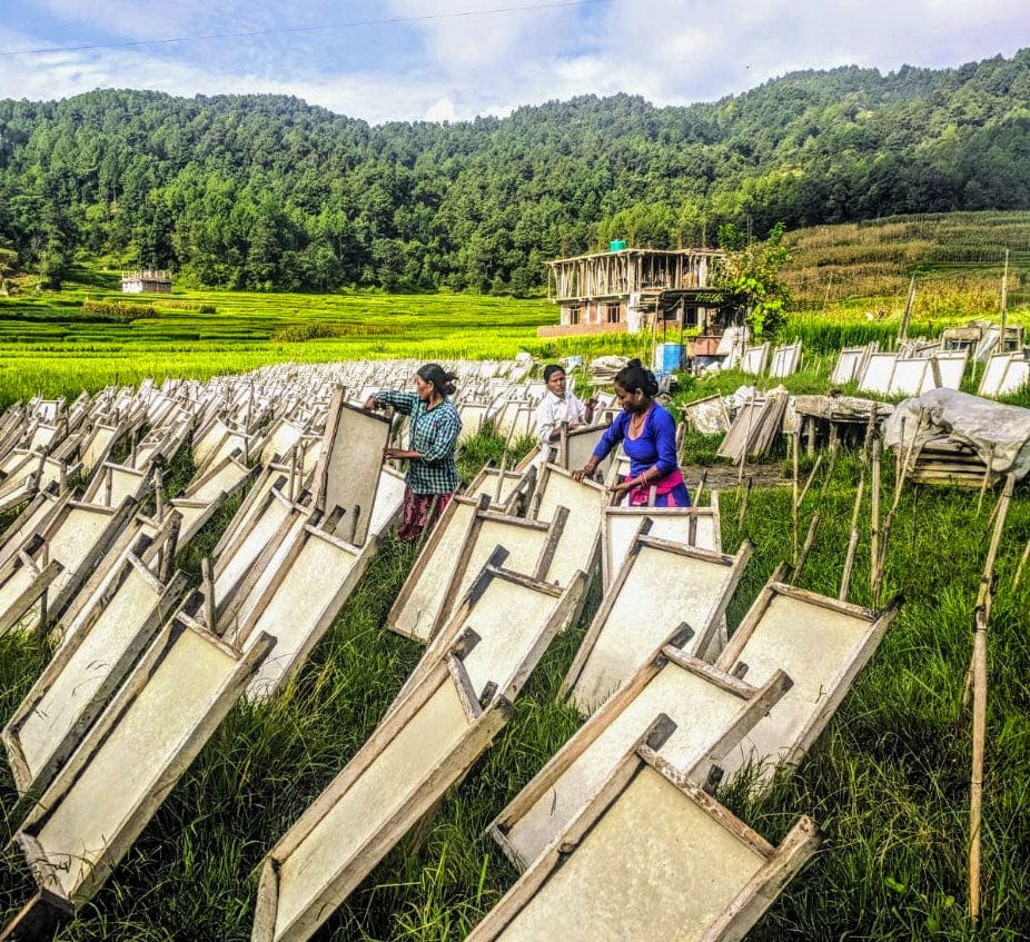 Lokta Paper Production