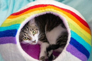 a cat is peaking out of a colorful rainbow cat cave made of wool