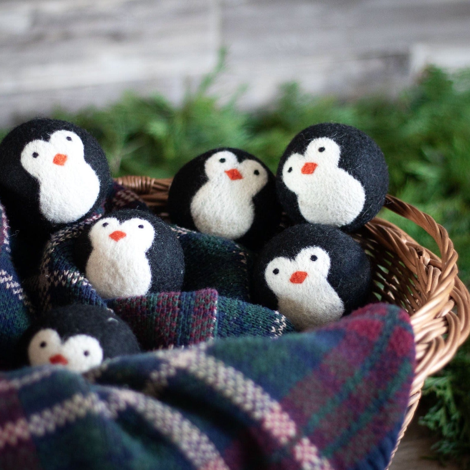 Friendsheep Eco Dryer Balls Cool Friends Eco Wool Dryer Balls