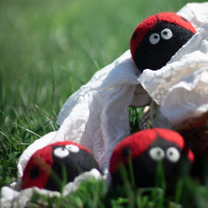 Friendsheep Eco Dryer Balls Ladybug Trio