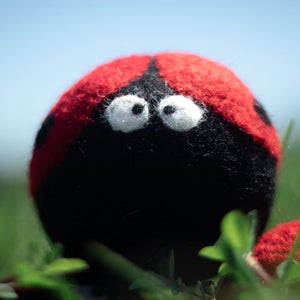 Friendsheep Eco Dryer Balls Ladybug Trio