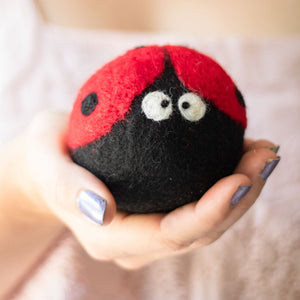 Friendsheep Eco Dryer Balls Ladybug Trio