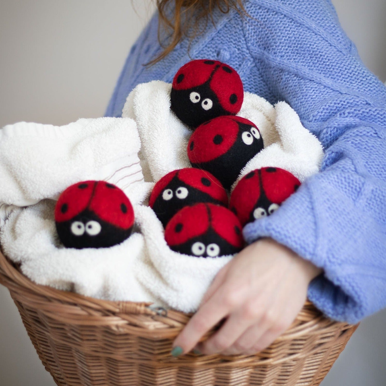 Friendsheep Eco Dryer Balls Laundrybugs Eco Dryer Balls