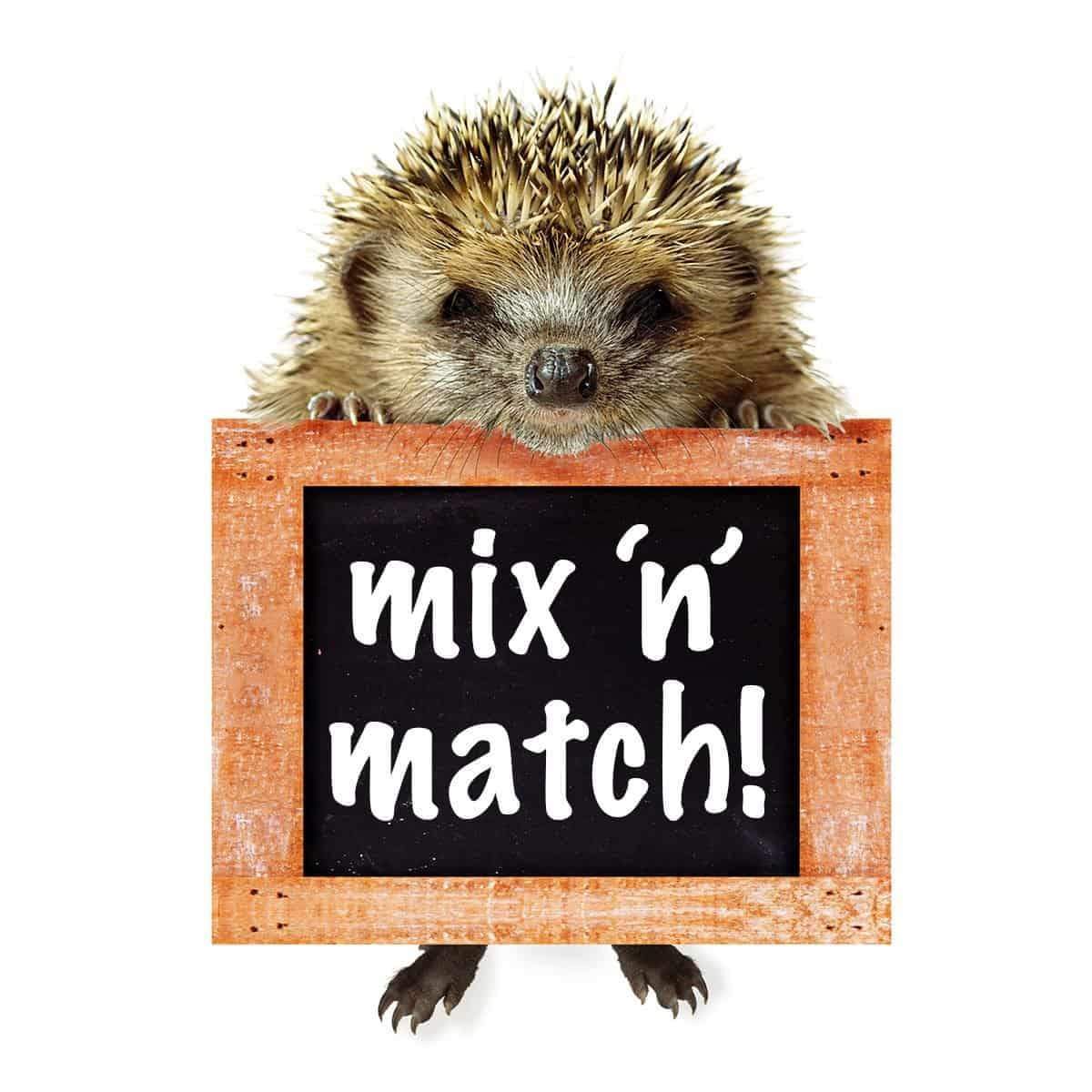 Friendsheep Eco Dryer Balls Mix 'n' Match!