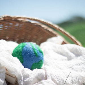 Friendsheep Eco Dryer Balls No Planet B