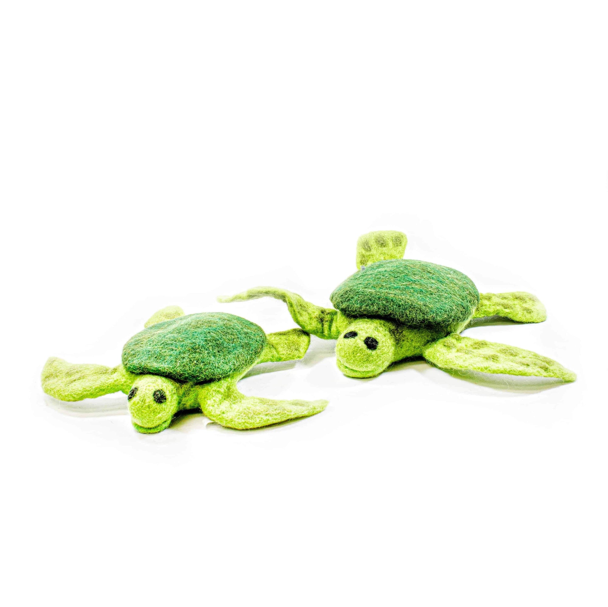 Friendsheep Friendsheep Wooly Friend Trevor the Sea Turtle