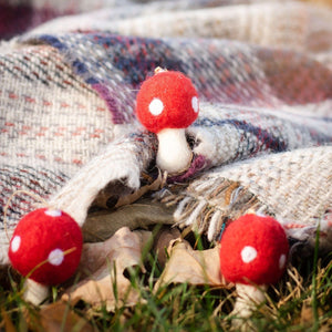 Friendsheep Pet Toys Amanita Mushrooms Eco Toys - Set of 3