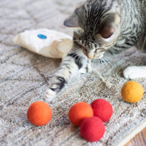 Friendsheep Pet Toys orange Eco Toy Balls "Orange Crush" - Set of 6