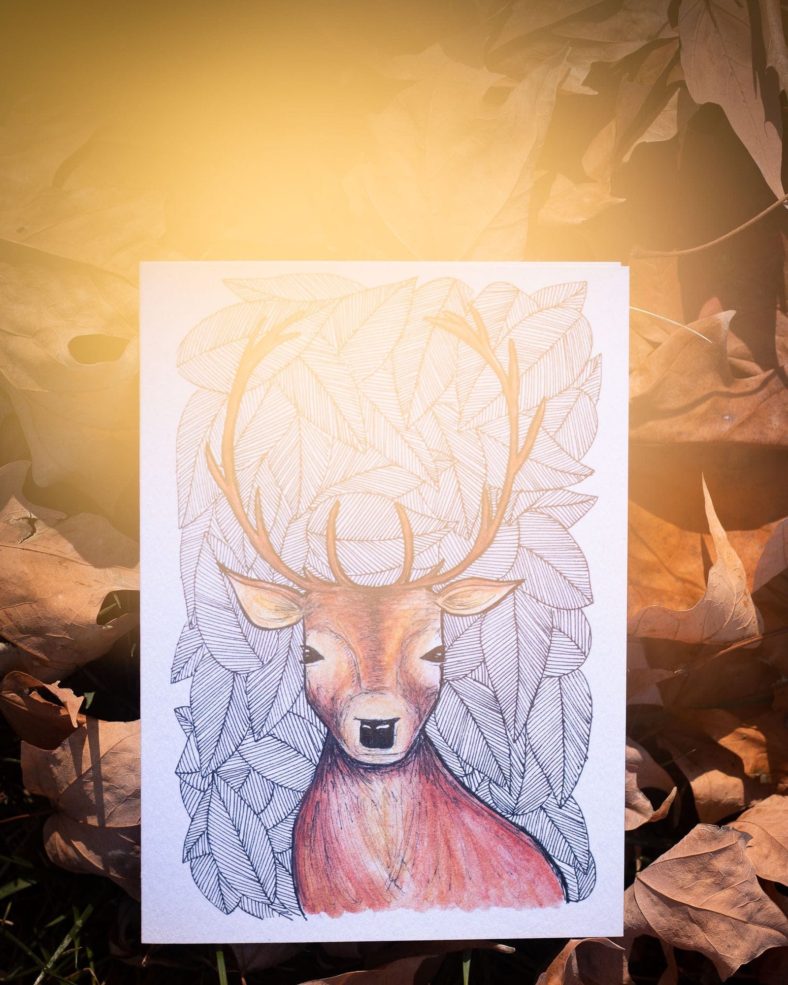 Deer - Greeting Card