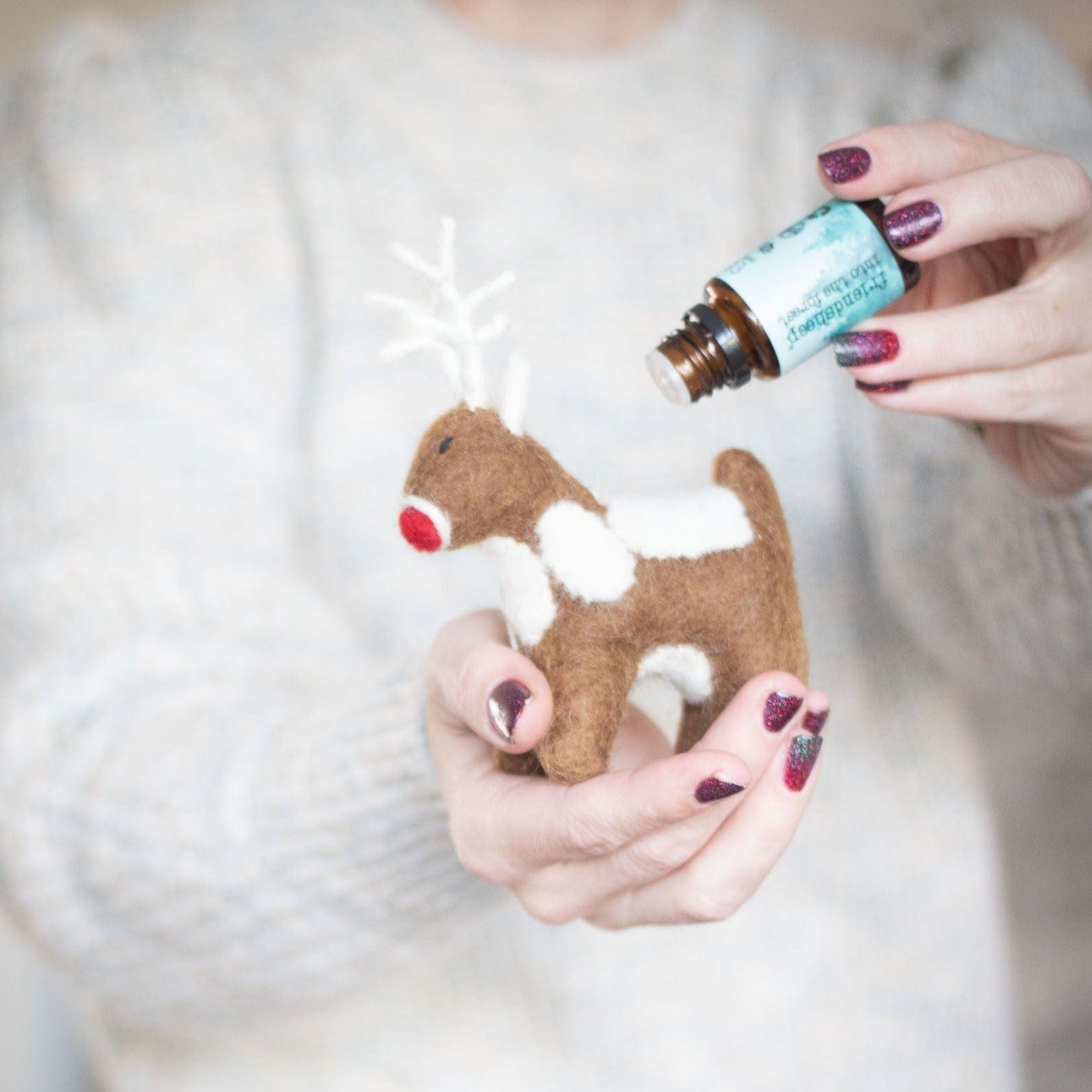 Santa's Reindeer - Set of 4